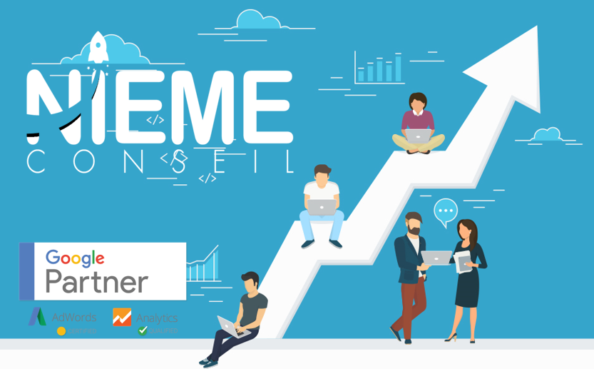 Nième Conseil logo